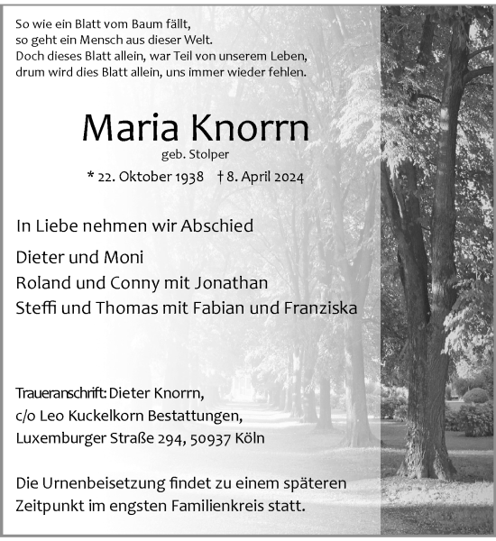 Traueranzeige von Maria Knorrn von Rheinische Post