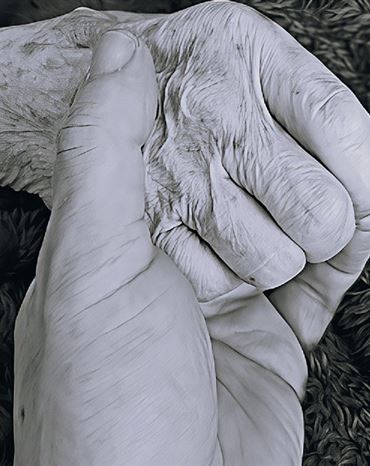 Profilbild von Carola Bockelmann